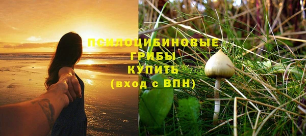тгк Нефтекумск