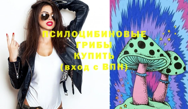 бошки Новодвинск