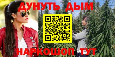 шишки Балашиха