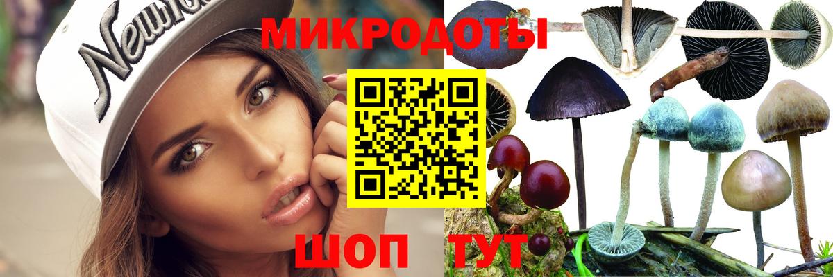 Псилоцибиновые грибы Cubensis  Галлюциногенные грибы прущие грибы  Вход с VPN  Чусовой 